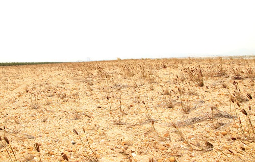 土壤養(yǎng)分測試儀的檢測效率如何？可以多個樣品同時檢測嗎