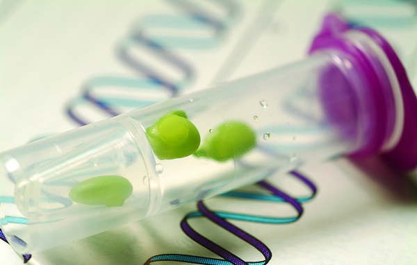 種子發(fā)芽所需要的條件，種子發(fā)芽箱都可以提供嗎？