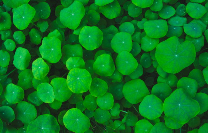 土壤緊實度儀使用后的維護工作非常重要，做到這五點就行