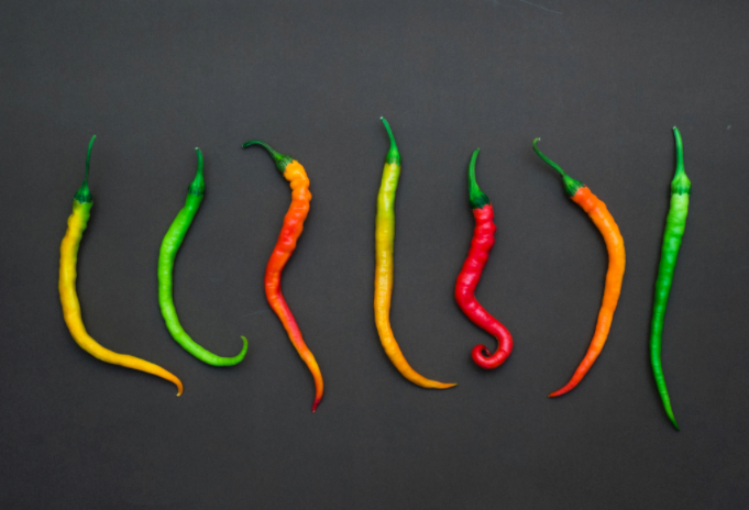 如何評價一種辣椒有多辣?？辣椒素檢測儀的工作原理及介紹