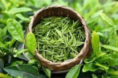 茶葉農(nóng)藥檢測儀在中藥材生產(chǎn)基地的應(yīng)用 茶葉農(nóng)藥檢測儀在中藥材生產(chǎn)基地的應(yīng)用