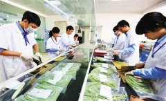 農(nóng)殘快速檢測儀品牌哪個(gè)好 農(nóng)殘快速檢測儀品牌哪個(gè)好