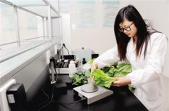 便攜式蔬菜農(nóng)藥檢測(cè)儀使用方法 便攜式蔬菜農(nóng)藥檢測(cè)儀使用方法